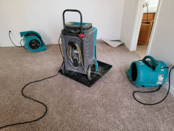 Best Flood restoration services  in King Of Prussia, PA