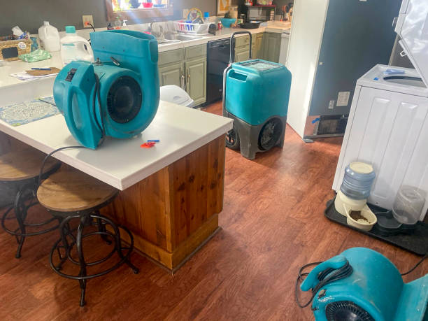 Best Mold removal after water damage  in King Of Prussia, PA