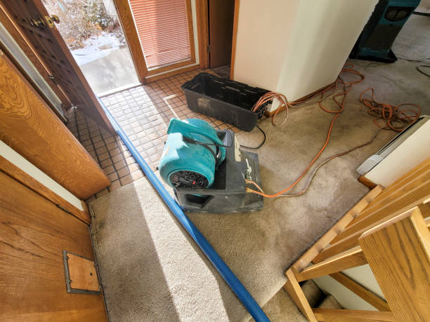 Best Ceiling water damage repair  in King Of Prussia, PA