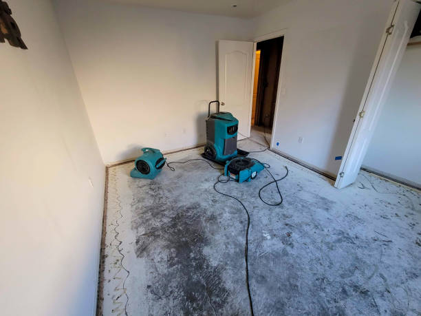 Reliable King Of Prussia, PA Water damage restoration Solutions