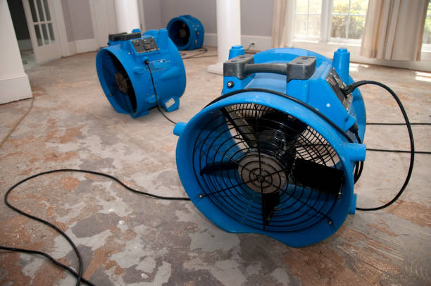 Best Residential water damage restoration  in King Of Prussia, PA